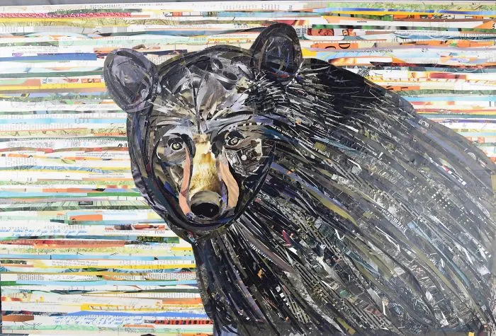 Bear