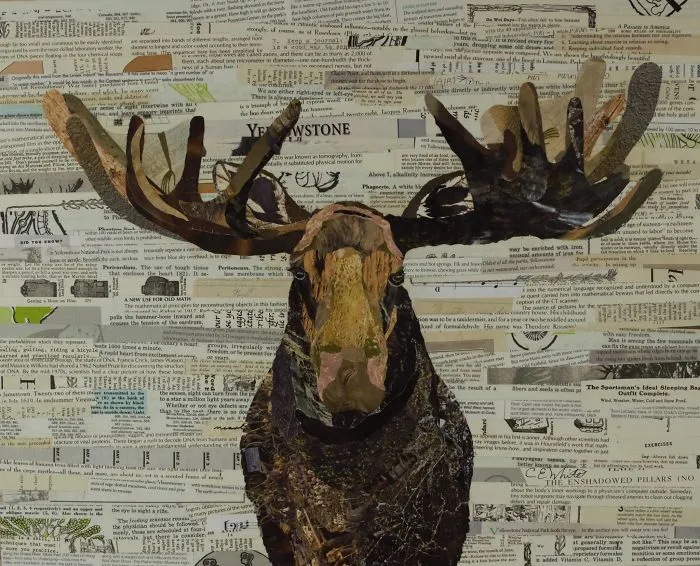 Moose