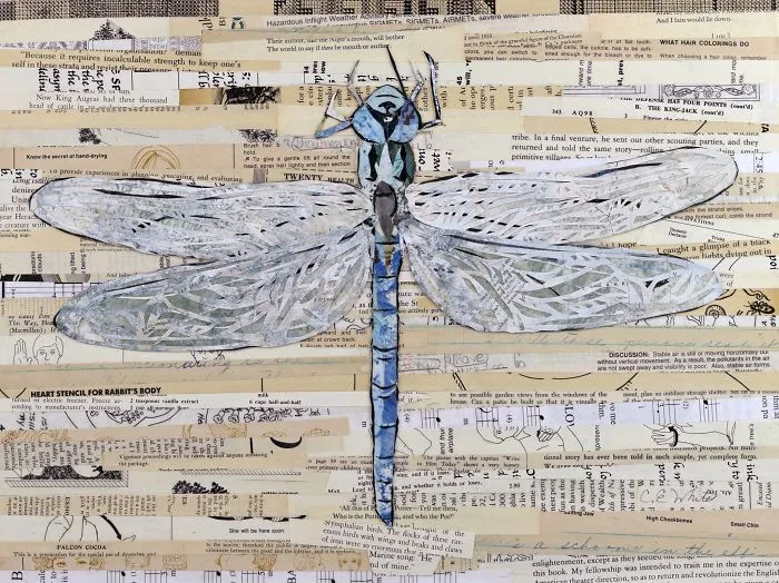 Dragonfly