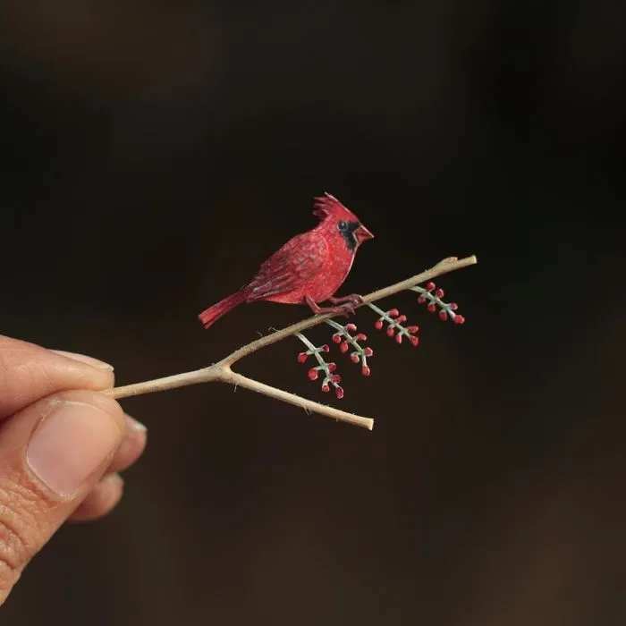 Northern Red Cardinal