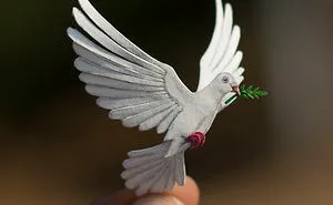 We've Been Creating Miniature Paper Birds Every Day For An Entire Year
