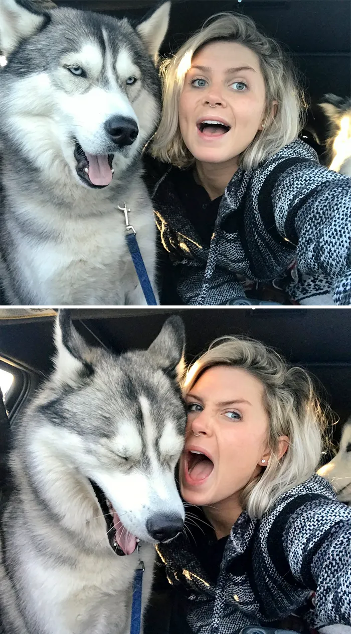 Este hombre y su perro han inspirado una adorable tendencia de imitación, y las fotos te alegrarán el día