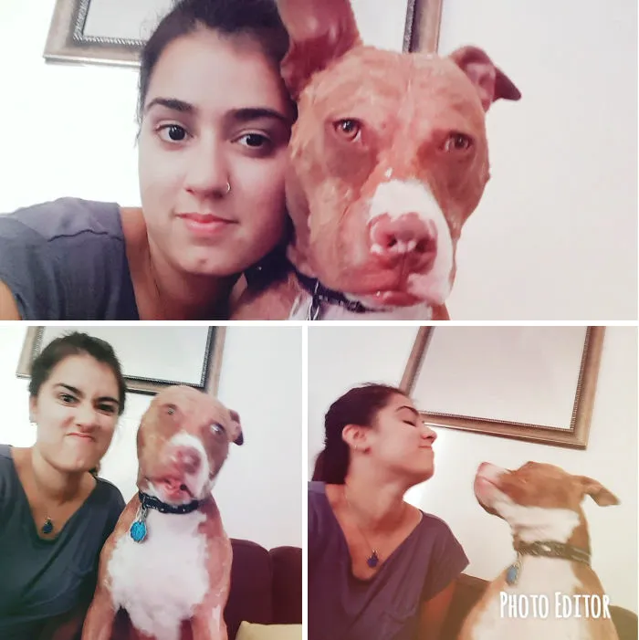 Este hombre y su perro han inspirado una adorable tendencia de imitación, y las fotos te alegrarán el día
