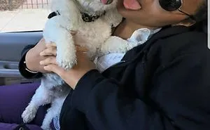 This Man And His Dog Just Inspired The Most Adorable 'Twinning' Trend, And The Photos Will Make Your Day
