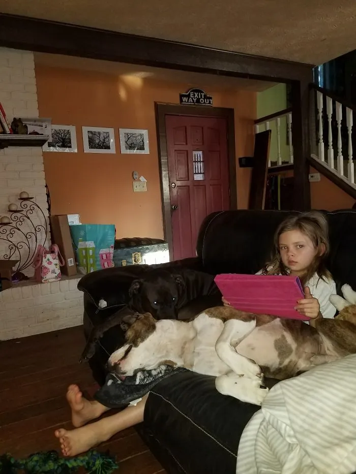 Morning Puppy Pile