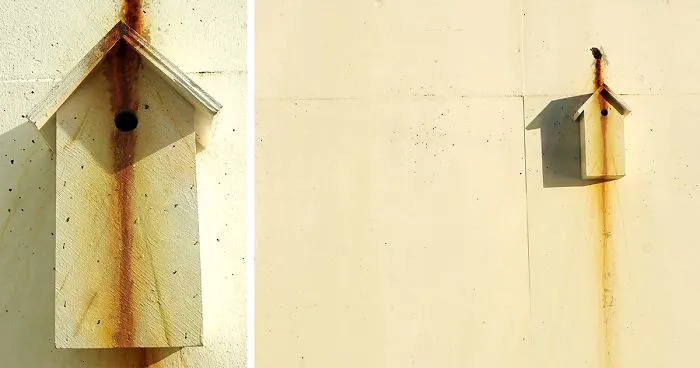 I Make Camouflage Birdhouses To Keep The City Birds Out Of Sight