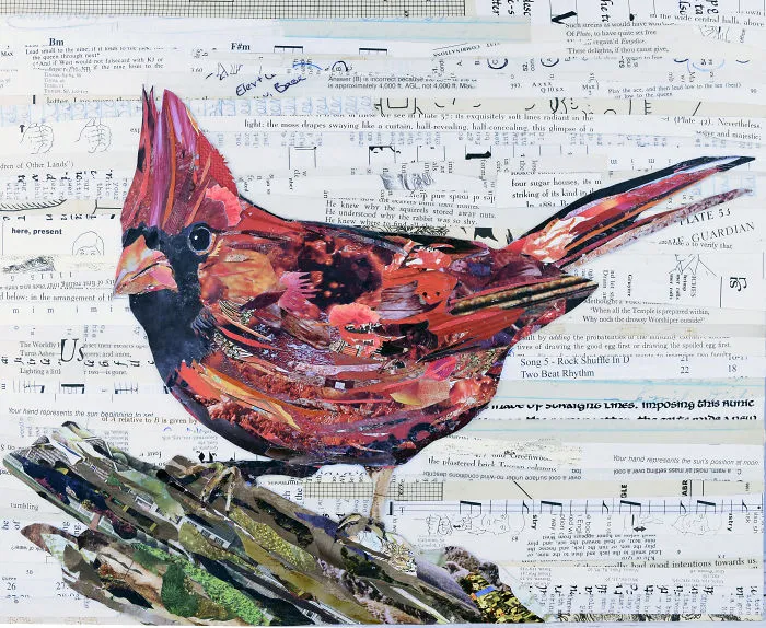 Red Cardinal