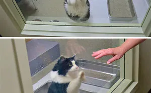 People Who Work With Animals Are Sharing Their Cutest Photos, And We Can't Get Enough