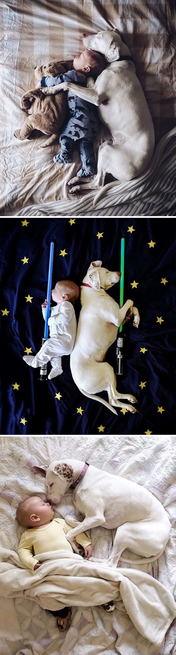 This Puppy And 8-Month-Old Baby Are The Best Sleeping Buddies