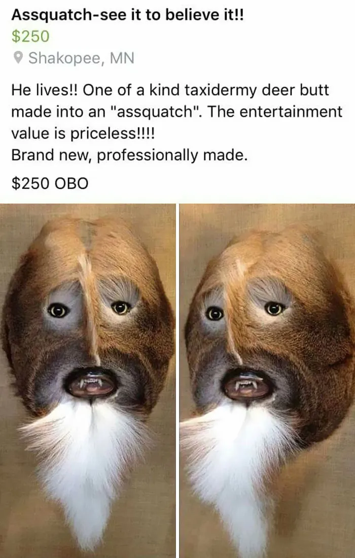 Assquatch Sighting On My Facebook Feed!