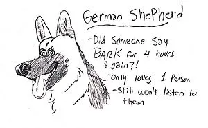 Hilarious Guide To Dog Breeds That Will Help You Choose Your Next Dog