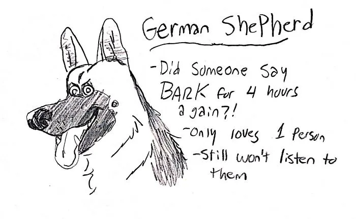 Hilarious Guide To Dog Breeds That Will Help You Choose Your Next Dog