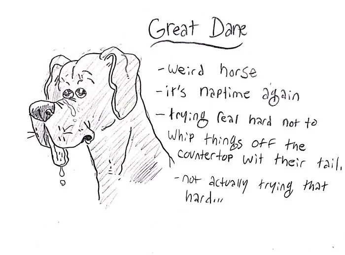 Hilarious Guide To Dog Breeds That Will Help You Choose Your Next Dog