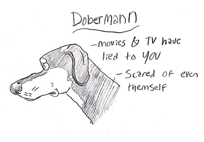 Hilarious Guide To Dog Breeds That Will Help You Choose Your Next Dog