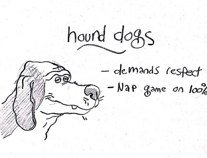 Hilarious Guide To Dog Breeds That Will Help You Choose Your Next Dog