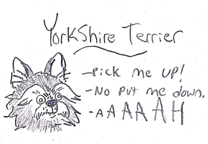 Hilarious Guide To Dog Breeds That Will Help You Choose Your Next Dog