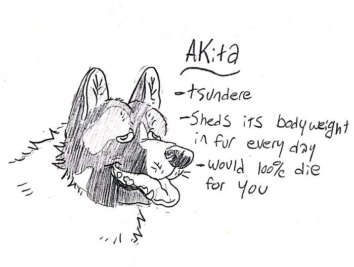 Hilarious Guide To Dog Breeds That Will Help You Choose Your Next Dog