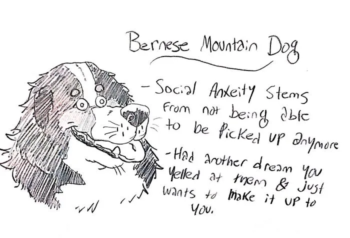 Hilarious Guide To Dog Breeds That Will Help You Choose Your Next Dog