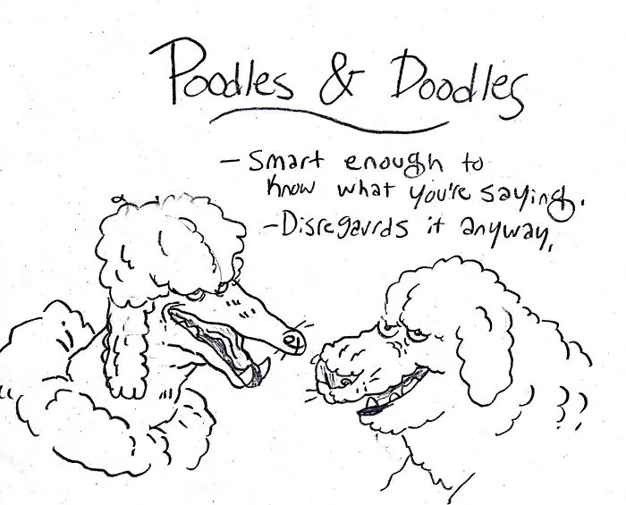 Hilarious Guide To Dog Breeds That Will Help You Choose Your Next Dog