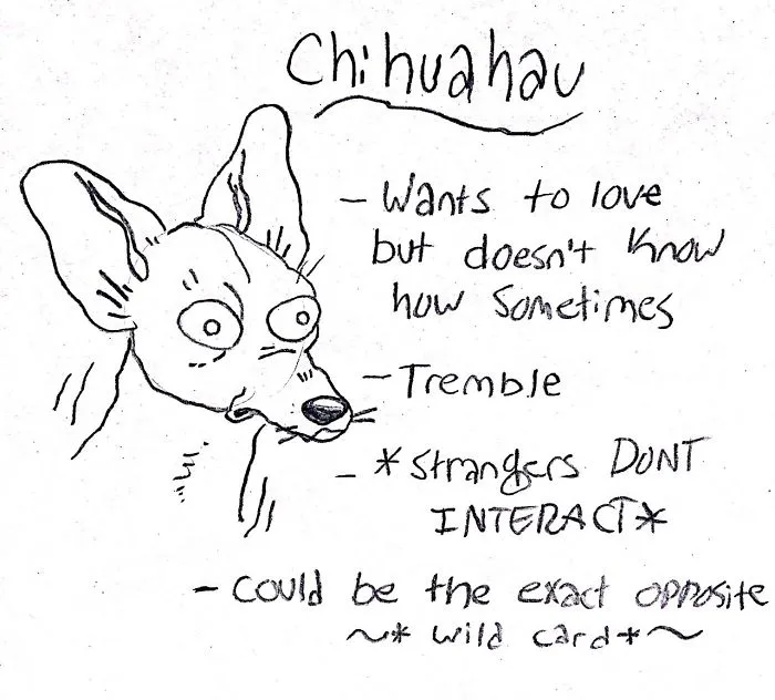 Hilarious Guide To Dog Breeds That Will Help You Choose Your Next Dog