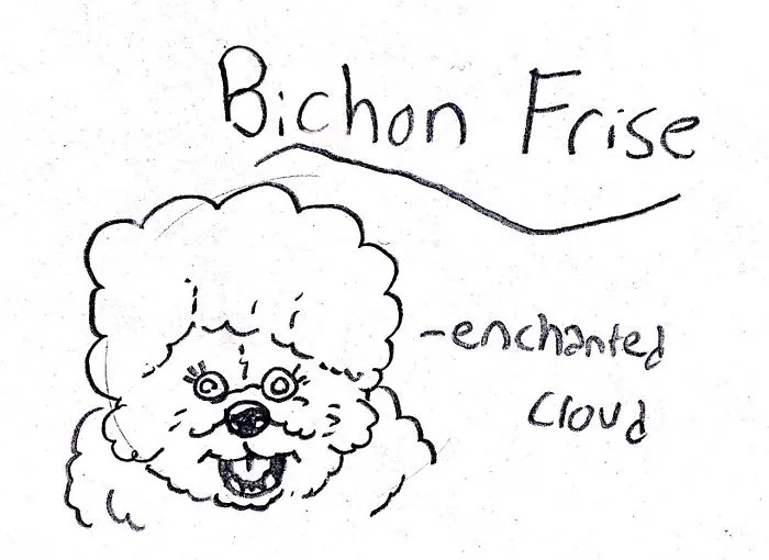 Hilarious Guide To Dog Breeds That Will Help You Choose Your Next Dog
