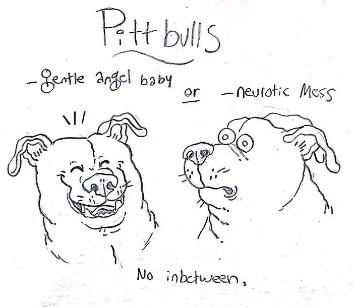 Hilarious Guide To Dog Breeds That Will Help You Choose Your Next Dog