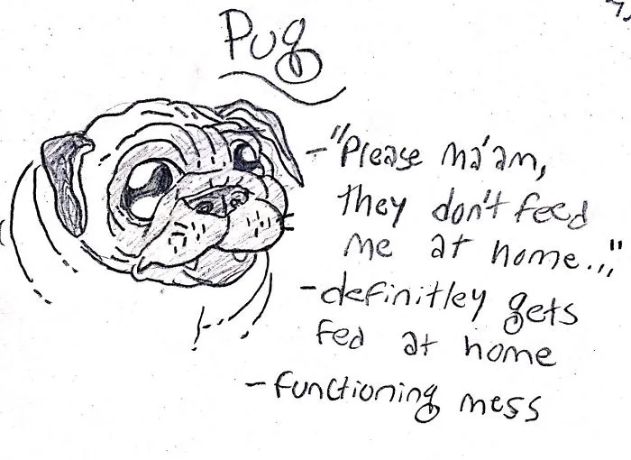 Hilarious Guide To Dog Breeds That Will Help You Choose Your Next Dog