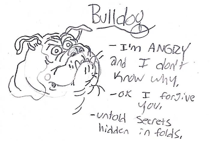 Hilarious Guide To Dog Breeds That Will Help You Choose Your Next Dog