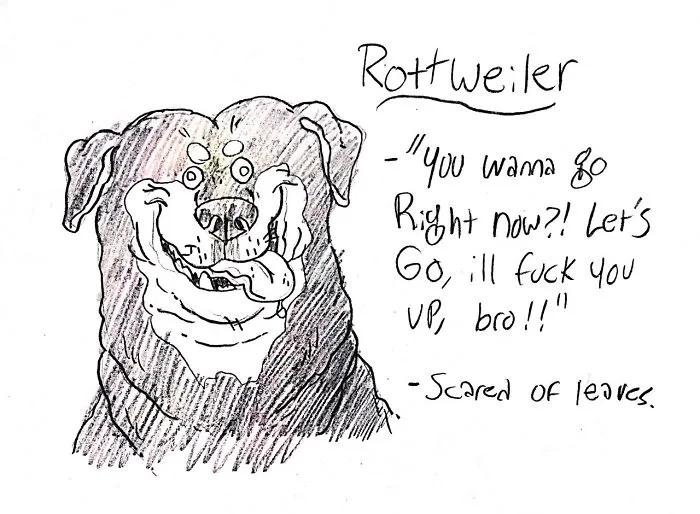 Hilarious Guide To Dog Breeds That Will Help You Choose Your Next Dog
