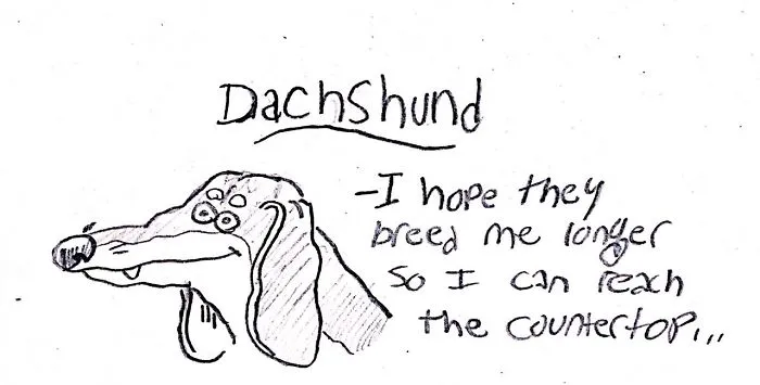 Hilarious Guide To Dog Breeds That Will Help You Choose Your Next Dog