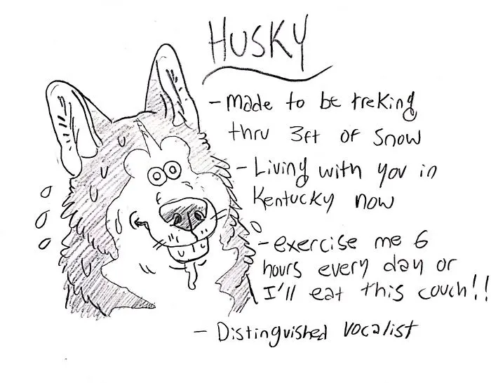 Hilarious Guide To Dog Breeds That Will Help You Choose Your Next Dog