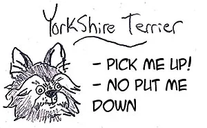 Hilarious Guide To Dog Breeds That Will Help You Choose Your Next Dog