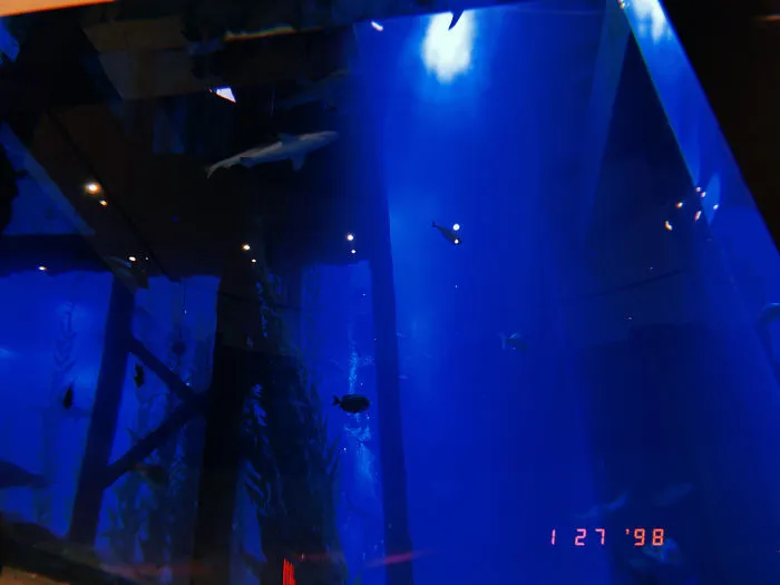Not A Mall, But An Amusement Park: Dubai