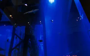 Not A Mall, But An Amusement Park: Dubai