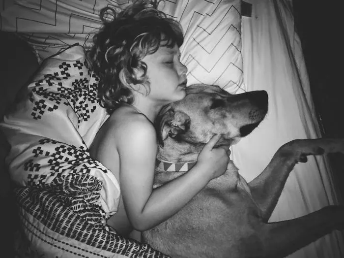 20+ Fotos que revelan cómo es criar a 3 niños