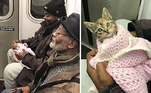 You Will Be Smiling Like An Idiot After Seeing These 239 Wholesome Pictures