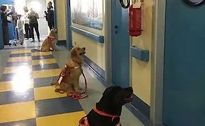 50 Wholesome Posts To Remind You There’s Good In The World