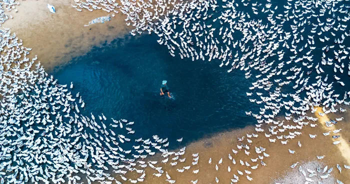 Best Aerial Photos Of 2017 Get Announced By SkyPixel