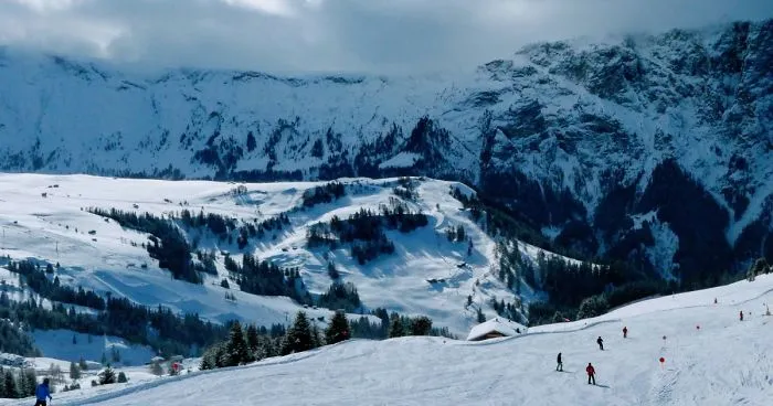 10 Photos Of Alpe Di Siusi That Will Make You Want To Visit South Tyrol, Italy