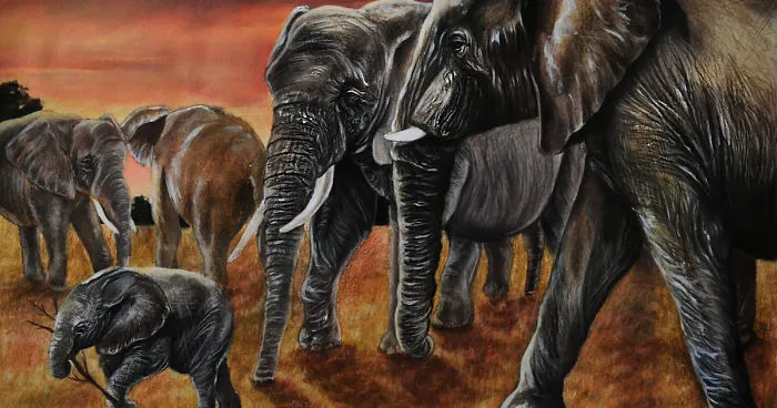Capturing The Spirits Of The Animals