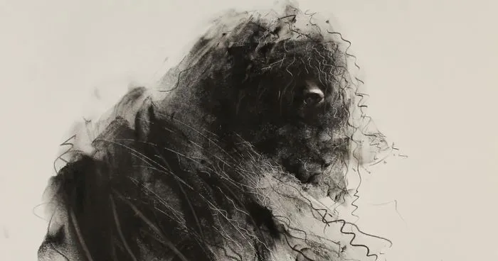 Gloomy Portraits Of Dogs That Seem To Fade Into The Paper