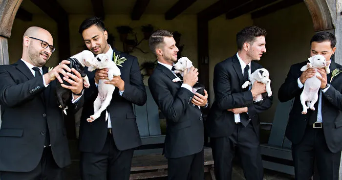 En vez de ramos de boda, esta pareja usó cachorritos rescatados, y las fotos son adorables