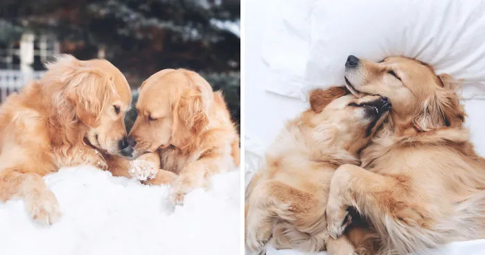 The Most Adorable Snuggling Sisters
