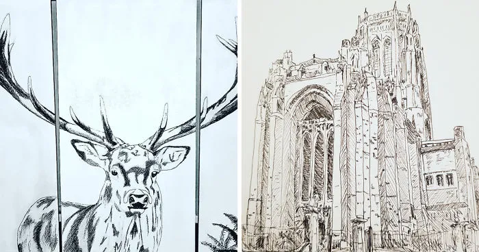 I Started Drawing Using Ink After An Illness