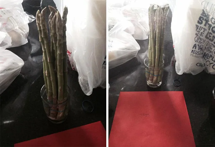 Mi padre le compró espárragos a mi madre pensando que eran narcisos
