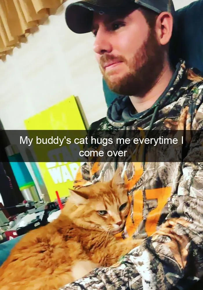 159 Hilarious Cat Snapchats That Will Leave You With The Biggest Smile (New Pics)