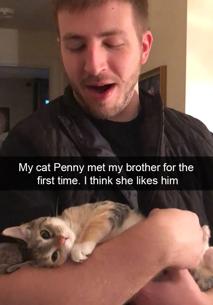 159 Hilarious Cat Snapchats That Will Leave You With The Biggest Smile (New Pics)