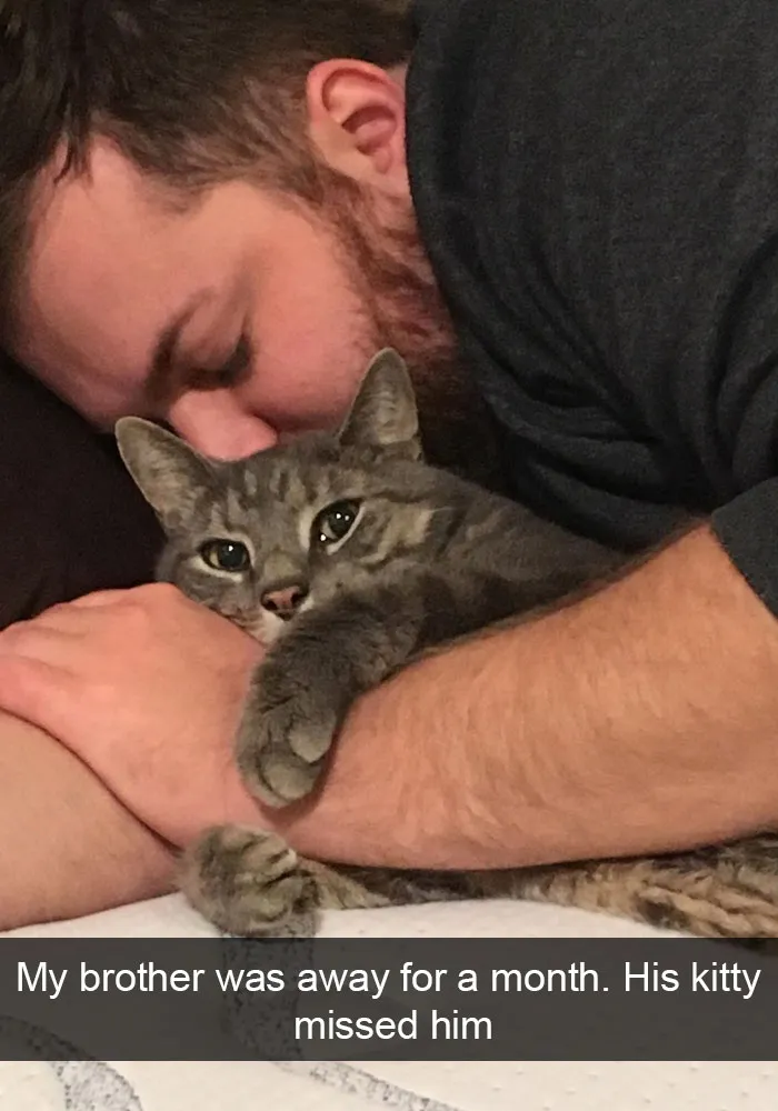 159 Hilarious Cat Snapchats That Will Leave You With The Biggest Smile (New Pics)