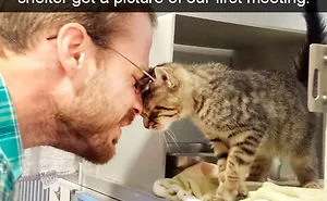 159 Hilarious Cat Snapchats That Will Leave You With The Biggest Smile (New Pics)