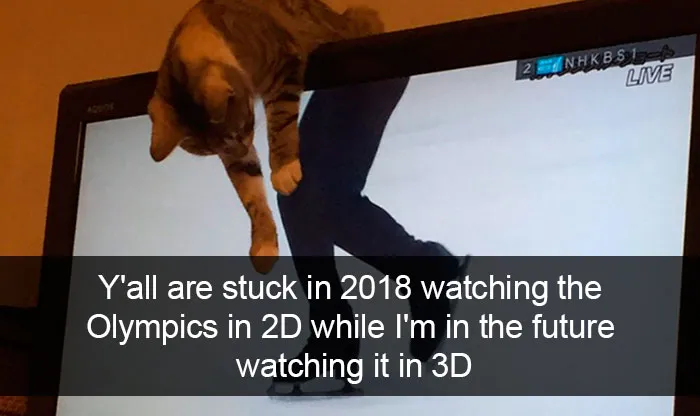 159 Hilarious Cat Snapchats That Will Leave You With The Biggest Smile (New Pics)